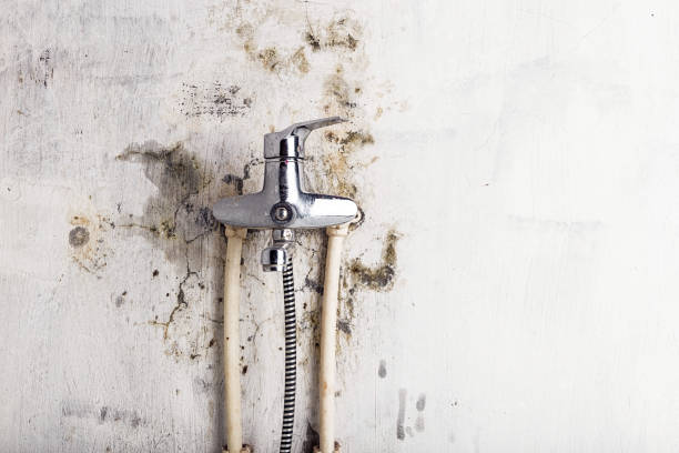 Mold Testing and Removal in Dulles Town Center, VA