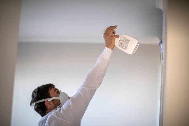 Best Mold Remediation  in Dulles Town Center, VA
