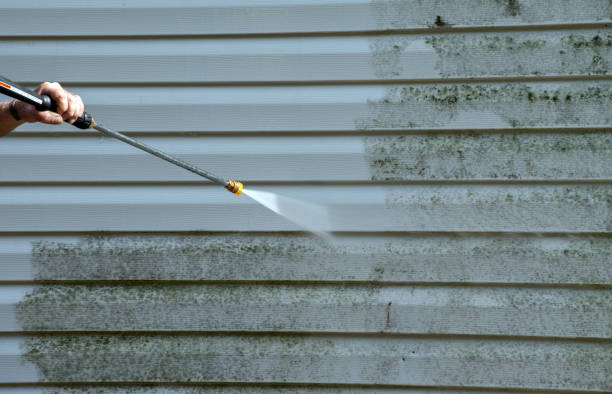 Mold Removal Process in Dulles Town Center, VA